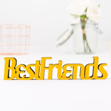 Schriftzug Best Friends