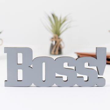 3D Schriftzug Boss
