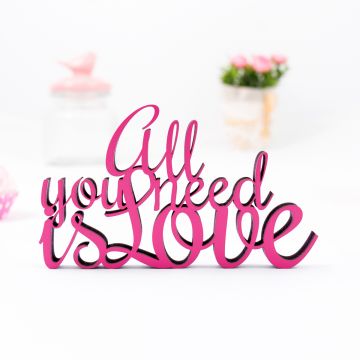 Schriftzug All you need is love