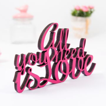 Schriftzug All you need is love