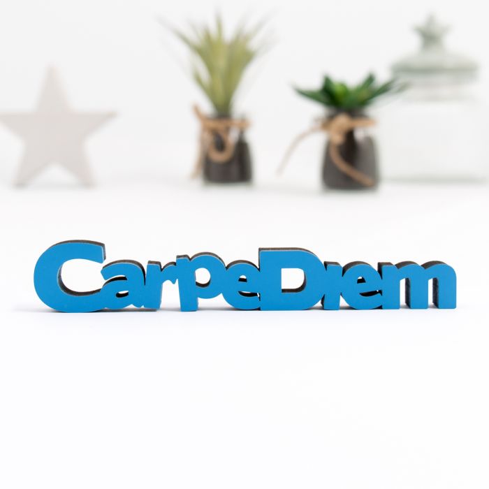 Dekoschriftzug "Carpe Diem"