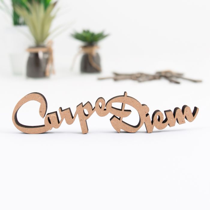 Dekoschriftzug "Carpe Diem"
