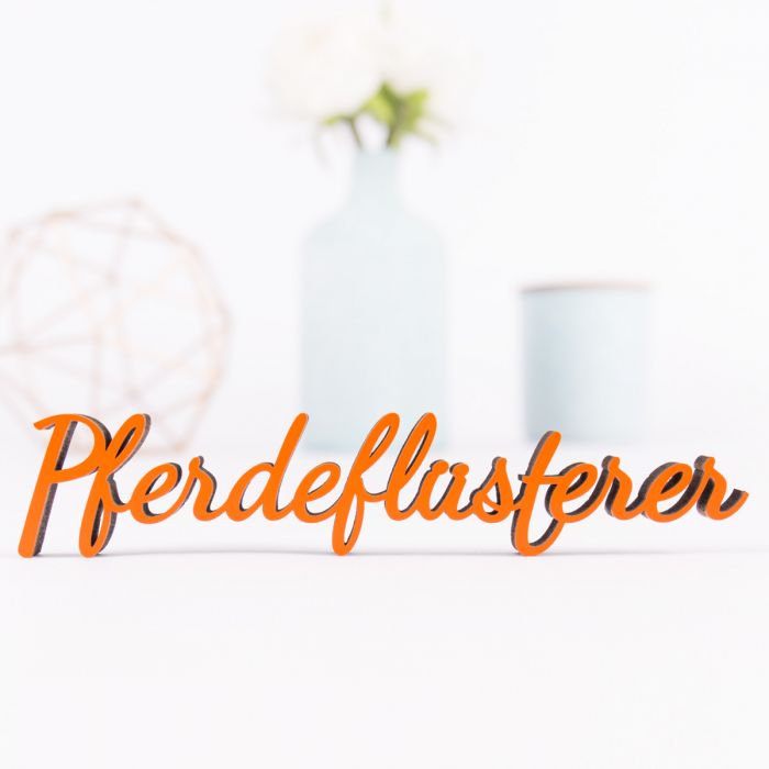 Dekoschriftzug Pferdeflüsterer